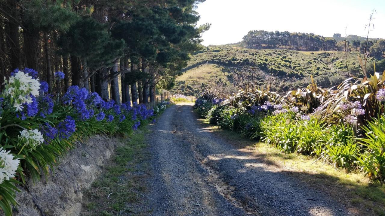 Hilltop Lodge Porirua Exterior foto